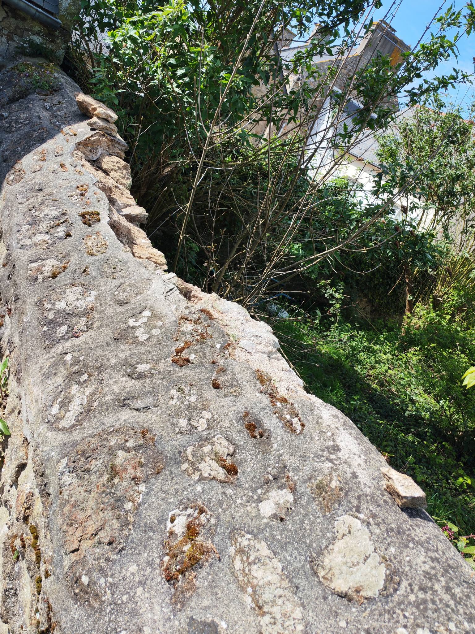 before-image